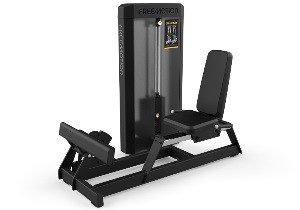   FREEMOTION FITNESS Epic Selectorized F813 