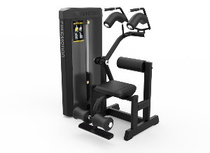   FREEMOTION FITNESS Epic Selectorized F819 