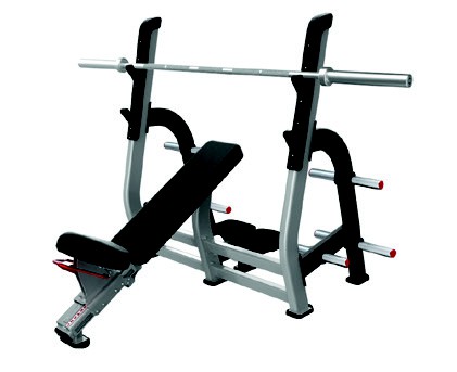 NAUTILUS Olympic Incline Bench 9NP-B7203 
