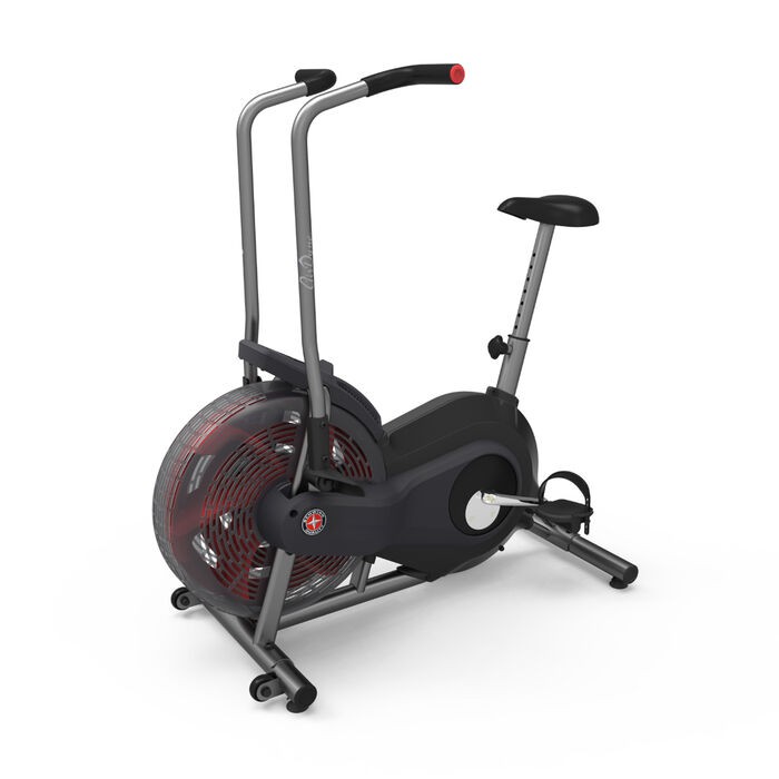   Schwinn Airdyne AD2i 