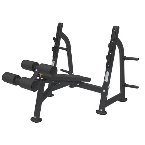  BRONZE GYM BR-1013 