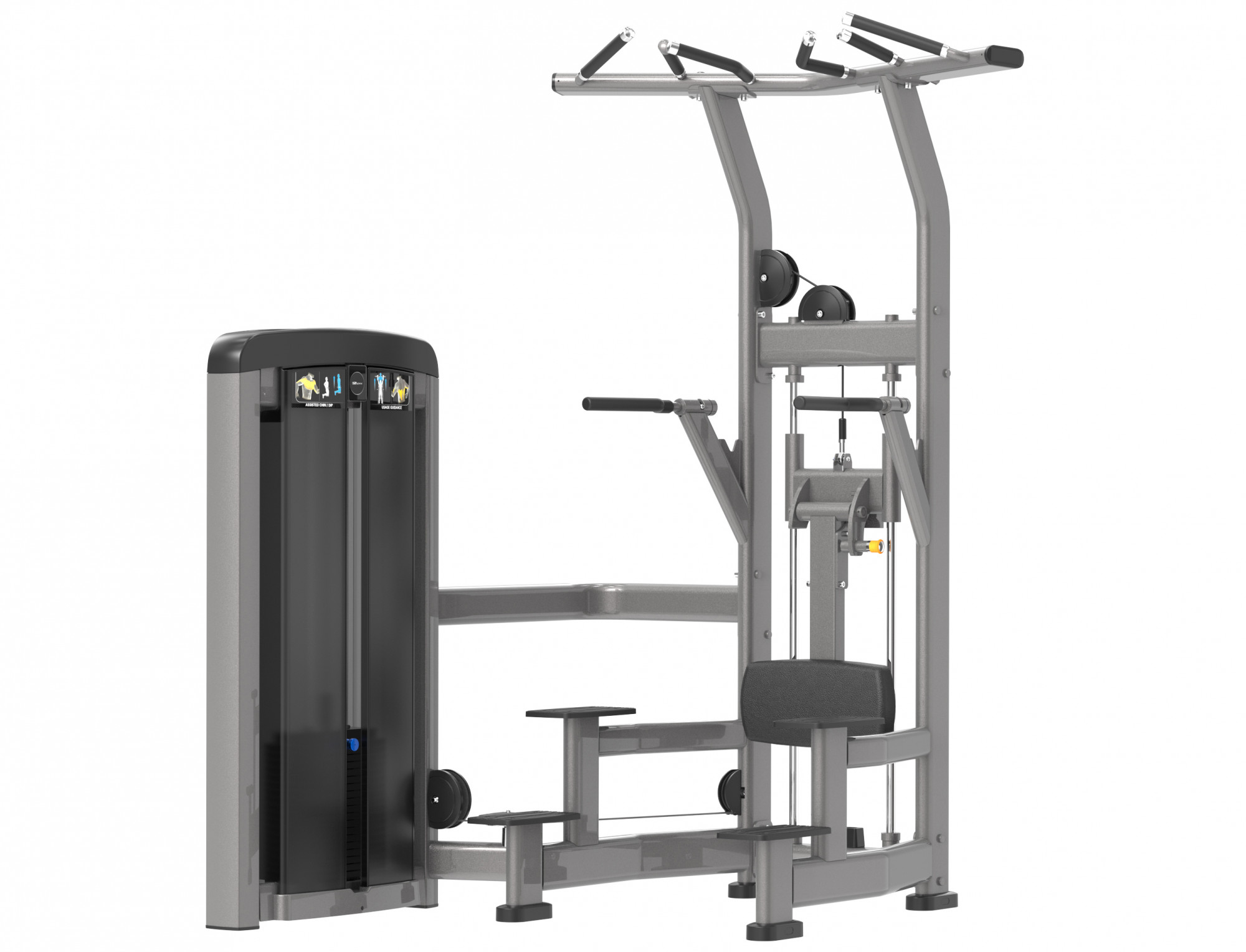   ERAGYM Dip/Chin Assist /   SF90 008 