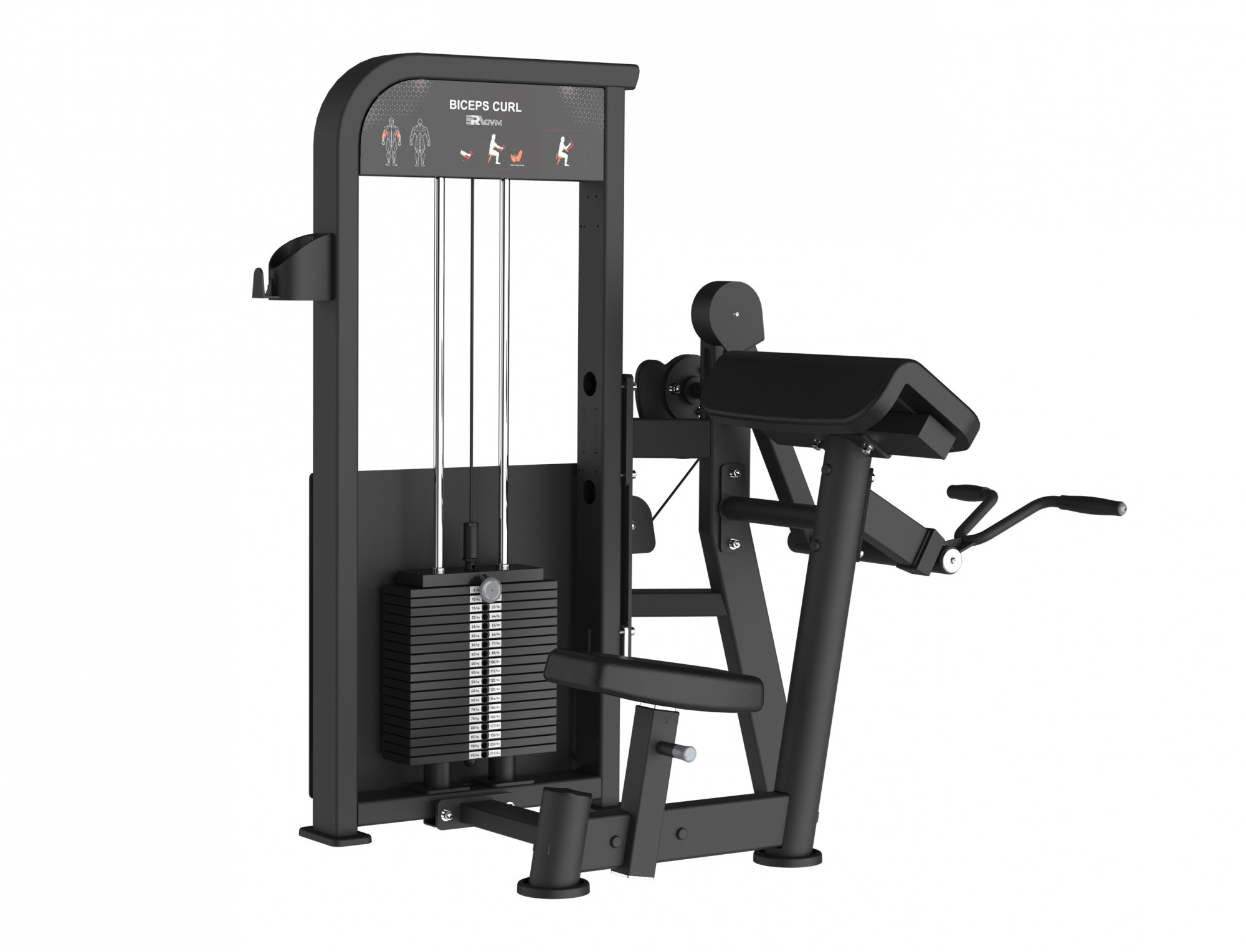   ERAGYM BICEPS CURL  LY-006 