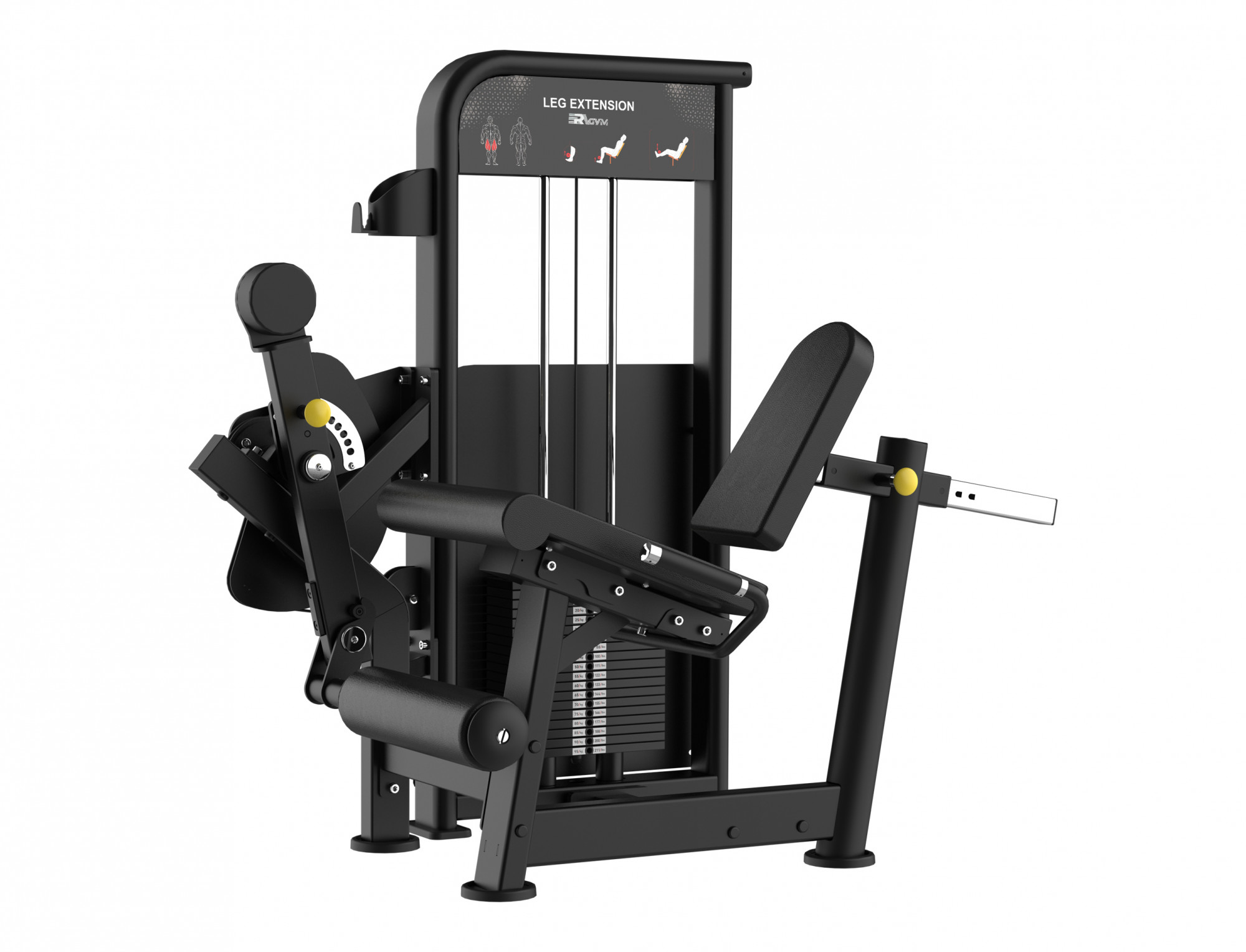   ERAGYM Leg Extension   LY014 