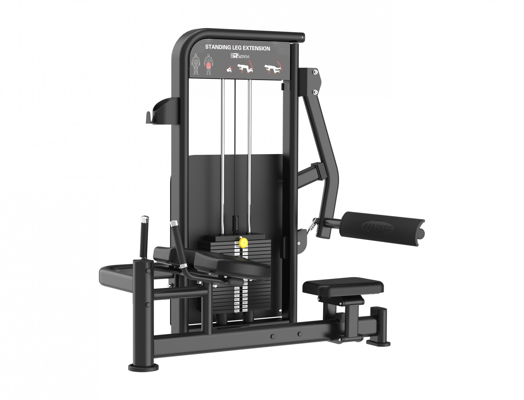   ERAGYM Standing Leg Extension - LY016A 
