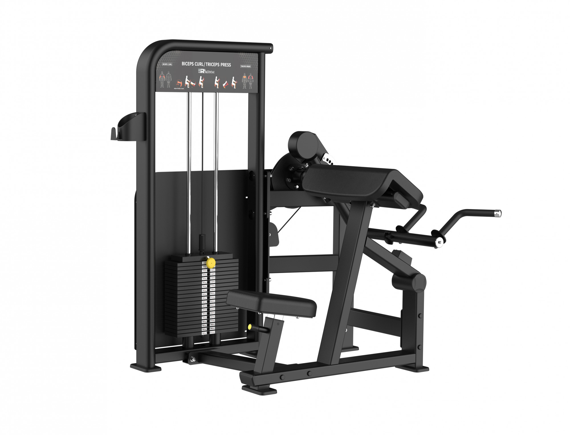   ERAGYM Biceps Curl/Triceps Press /  BLY-0607 