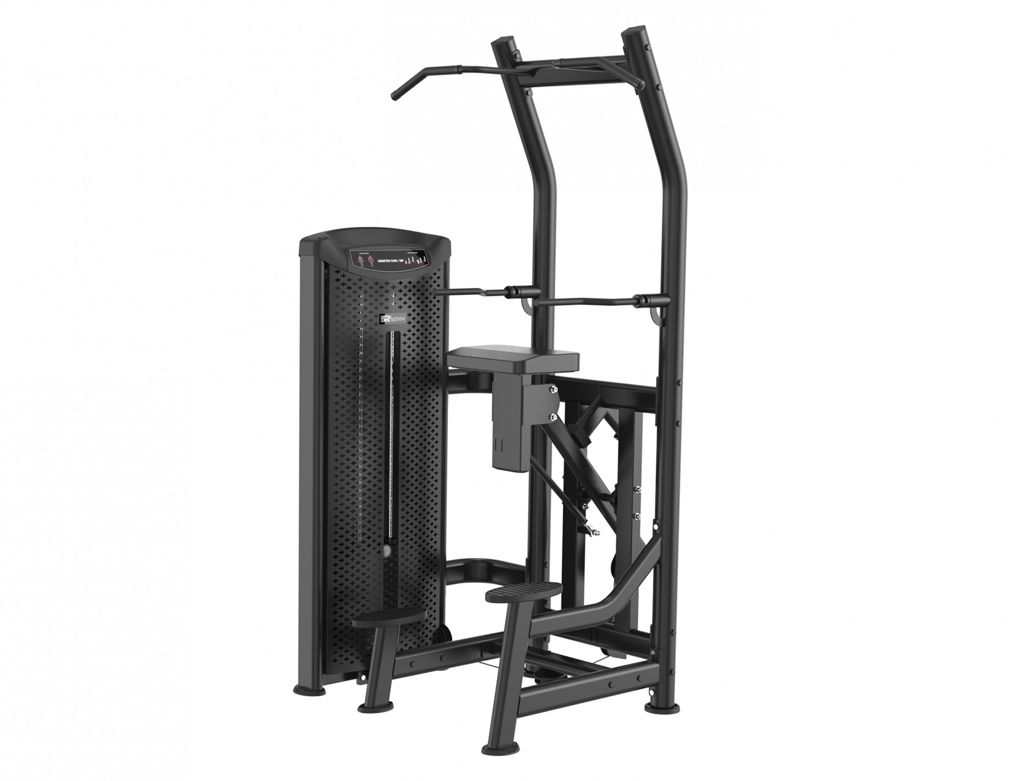   ERAGYM Dip/Chin Assist /   M6Y008 