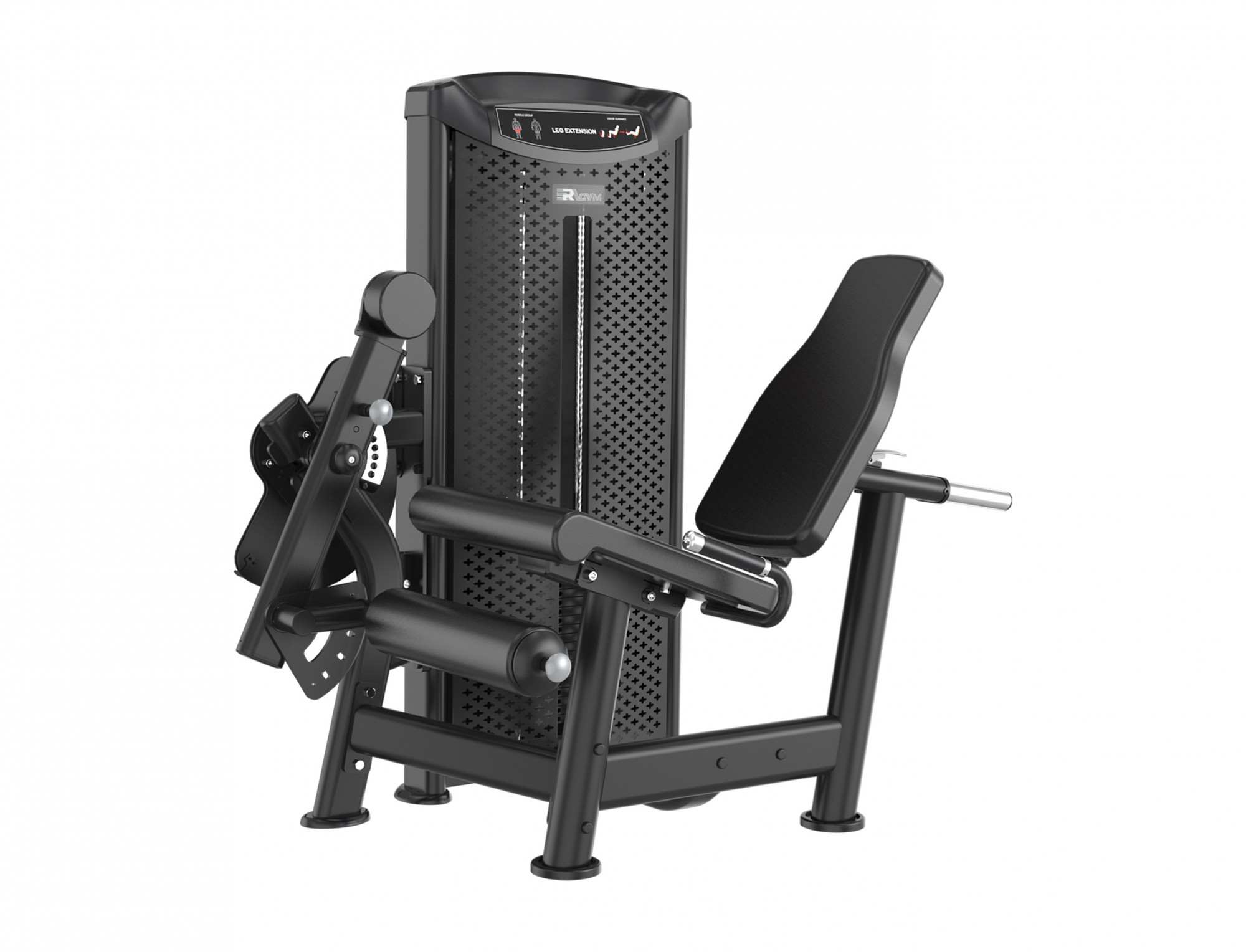   ERAGYM Leg Extension   M6Y014 