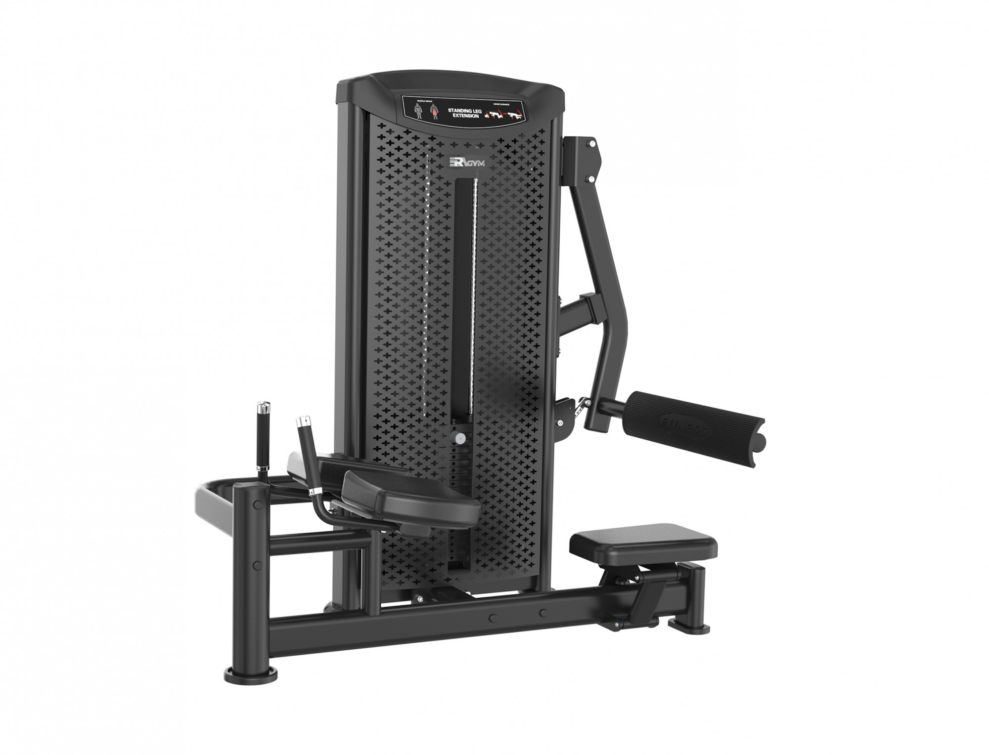   ERAGYM Standing Leg Extension - M6Y016A 