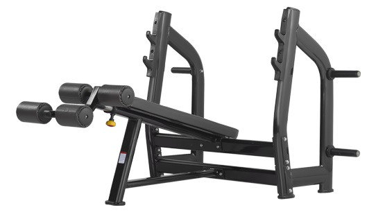  BRONZE GYM H series H-024 