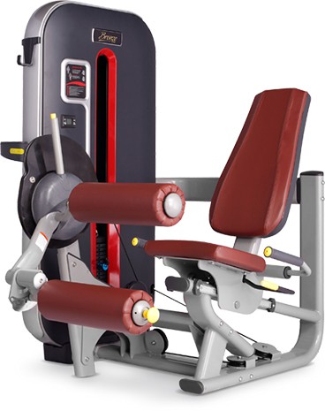   BRONZE GYM MT series MT-013 