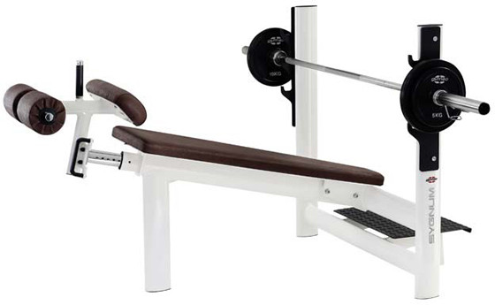  GYM80 Sygnum Basic Decline Bench with bar holders and adjustable 4047 