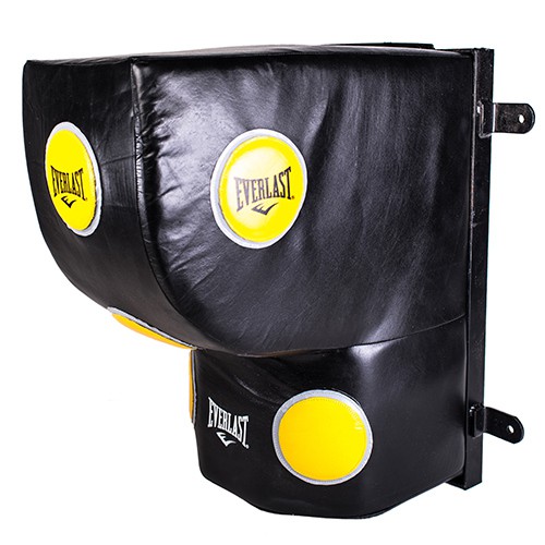    EVERLAST Wall Mount 