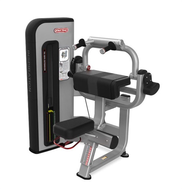   STAR TRAC Inspiration Series Triceps Extension 9IP-S5310 