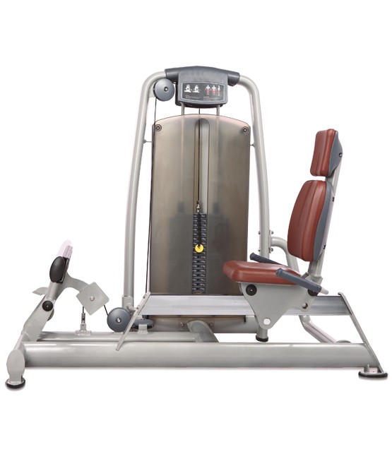   BRONZE GYM A9-017A - 